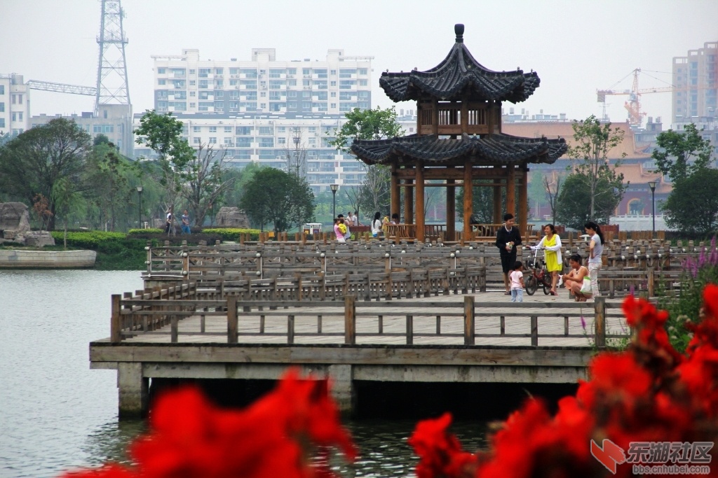 DPP_0006.jpg