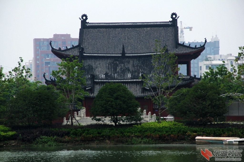 DPP_0005.jpg