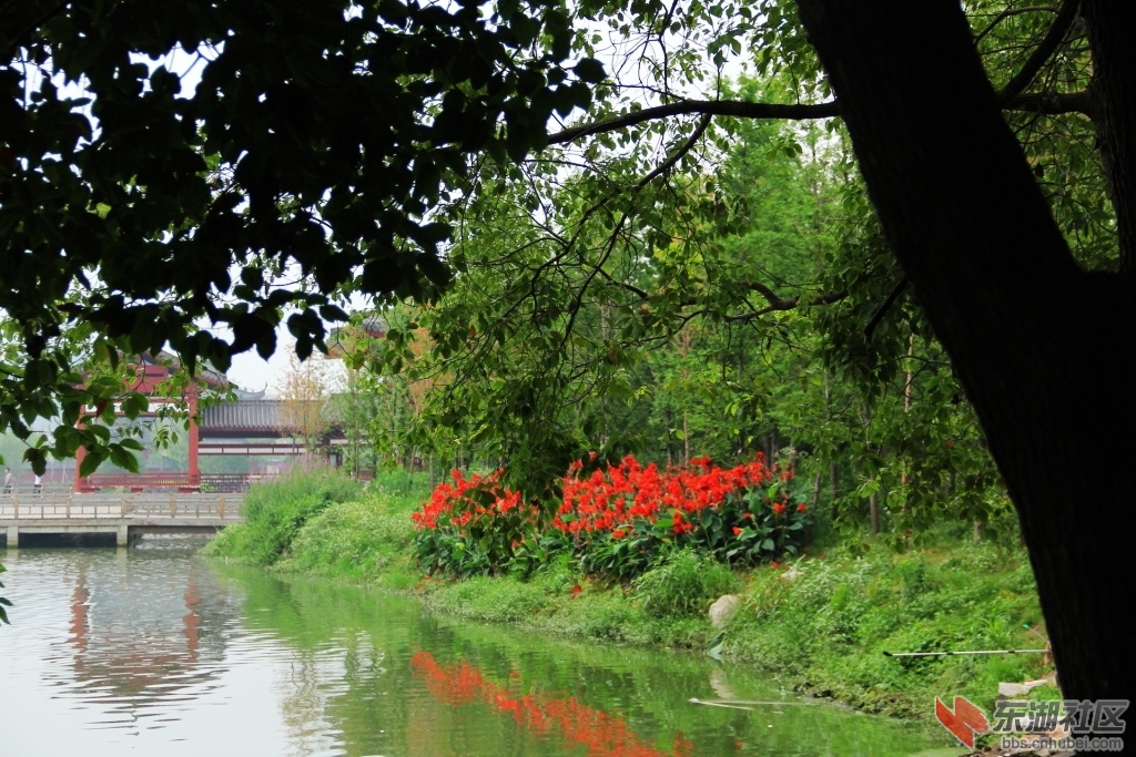 DPP_0039.jpg