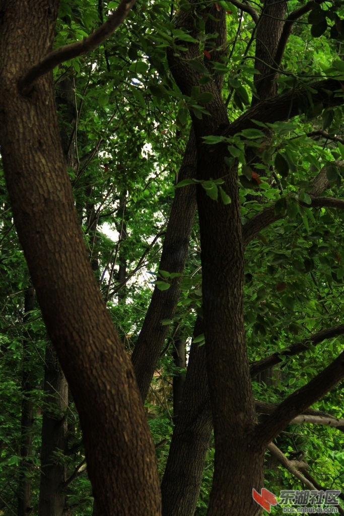DPP_0036.jpg
