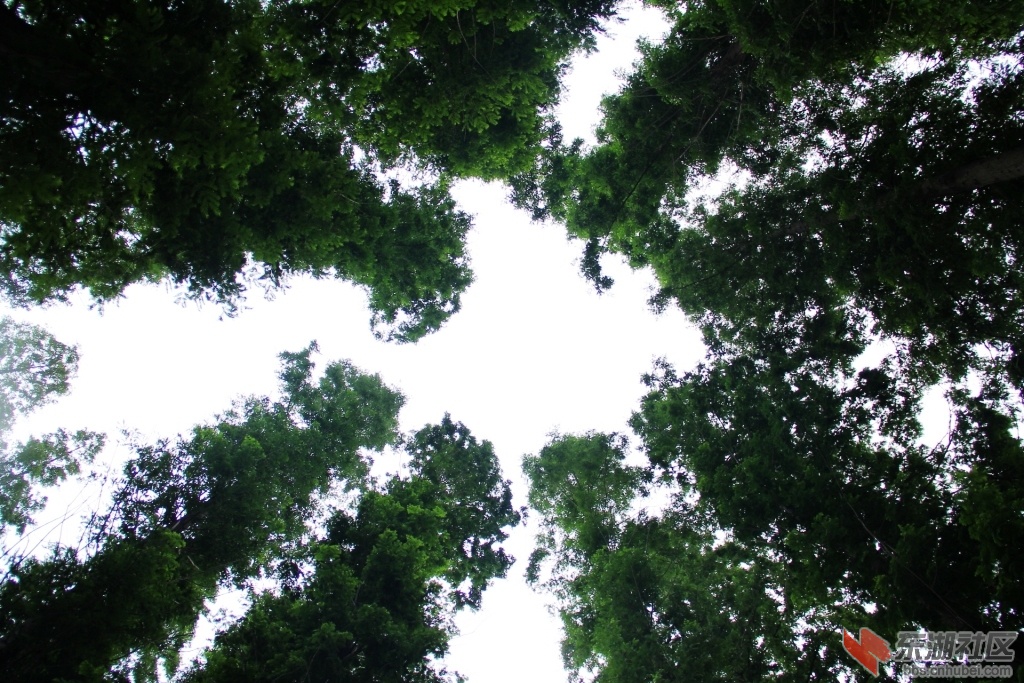 DPP_0047.jpg