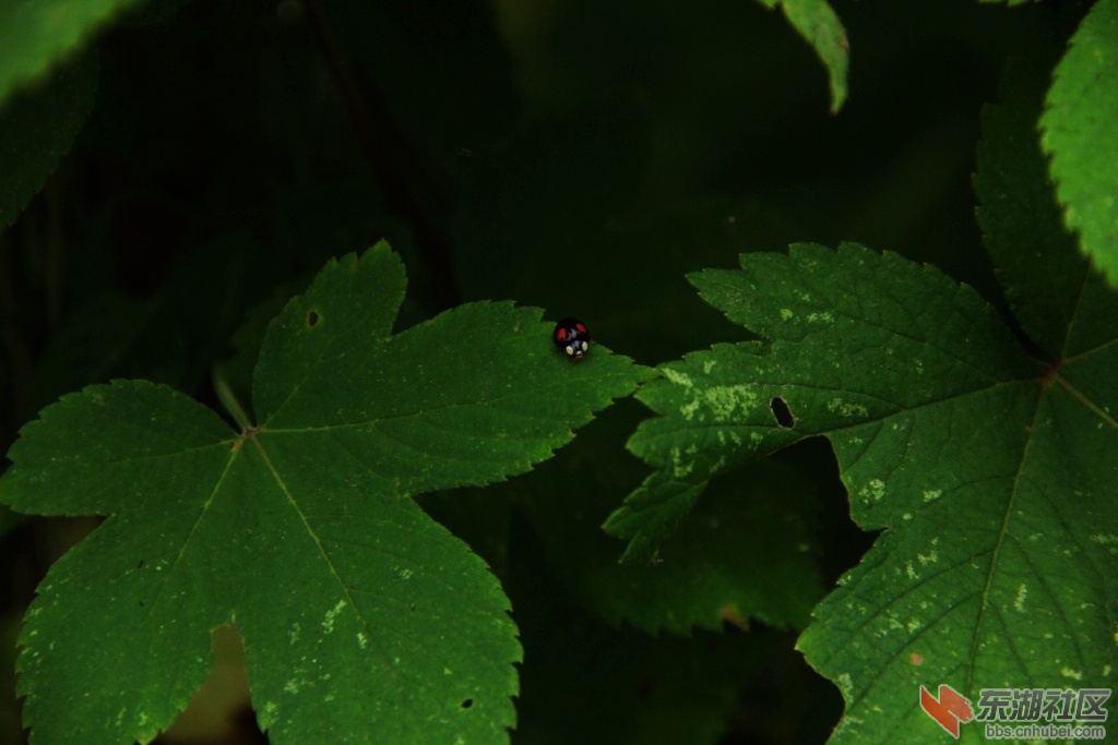 DPP_0059.jpg