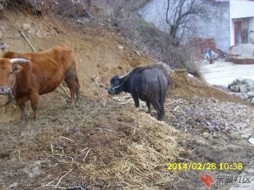 09T2Y4CAUXKFBWCA8860NYCAN6WN9JCAQEDK5YCA1YQWTXCAIUZ4A1CANL7HW9CAKJW9Y8CAYGEAO5CA.jpg
