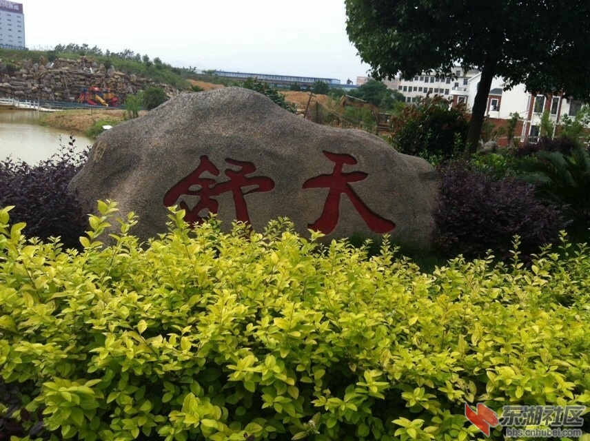 image.jpg