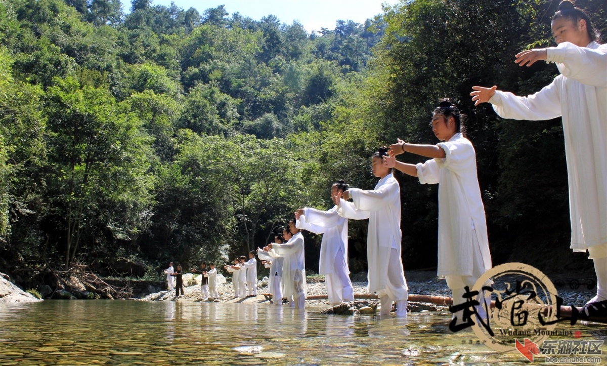 武当武术