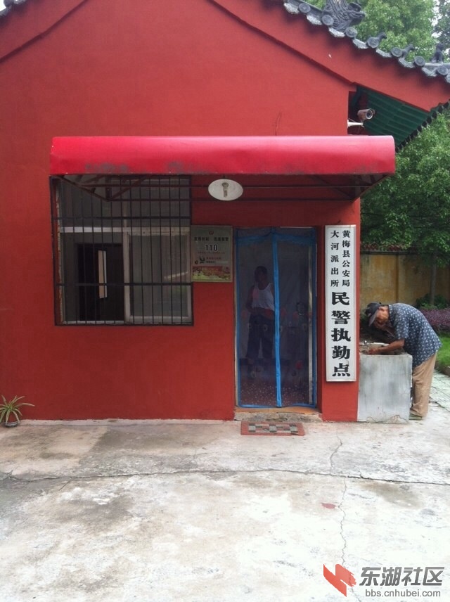 image.jpg