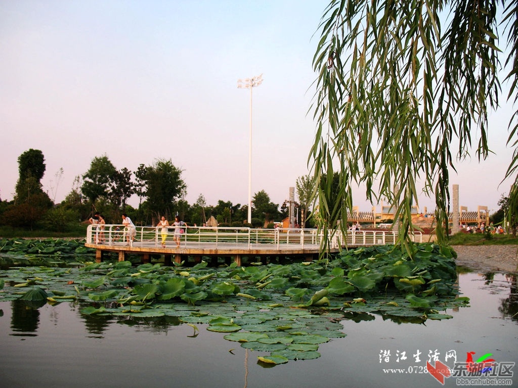 201307292022065755.jpg
