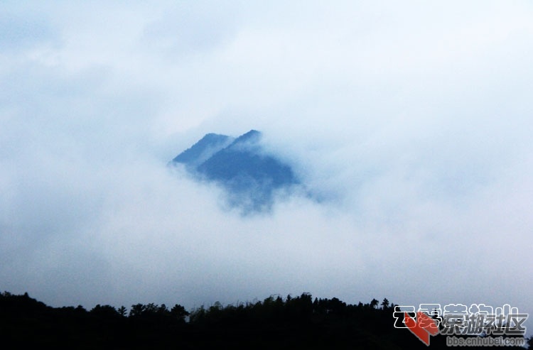 通城县黄袍山云海3.jpg