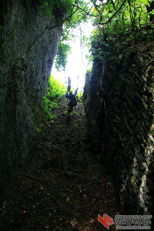 51通城县黄袍山705.jpg