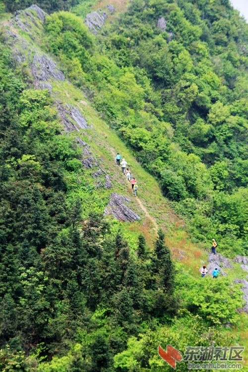 51通城县黄袍山629.jpg
