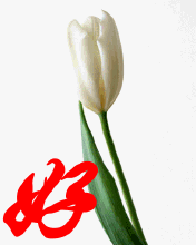 u=3469114688,3206518173&fm=21&gp=0.jpg