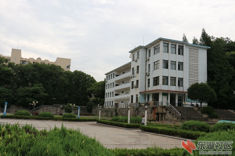 05.jpg