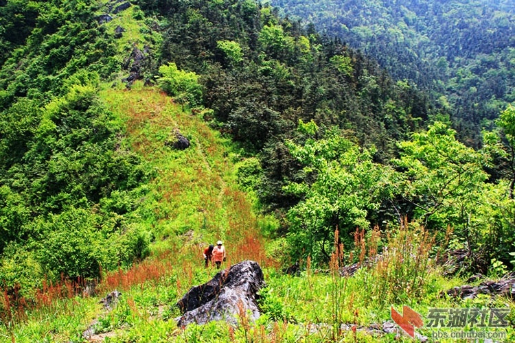 51通城县黄袍山A12.jpg