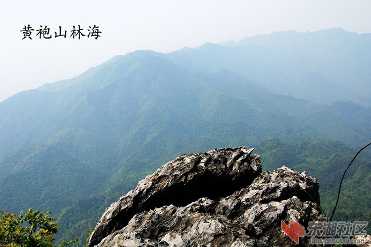 51通城县黄袍山A10.jpg