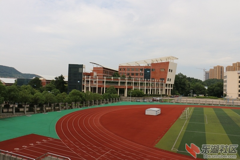 08.jpg