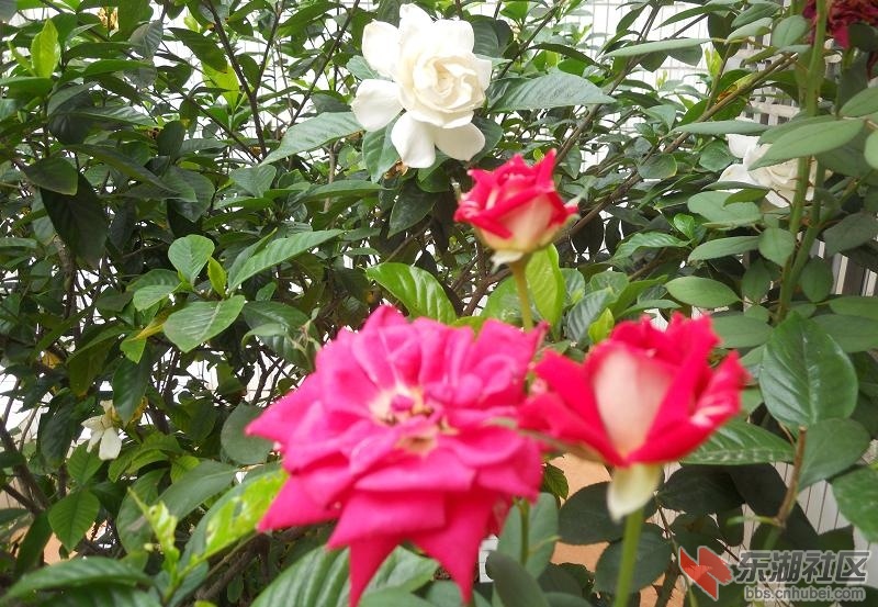 DSCN0028.JPG