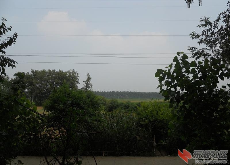 DSCN0048.JPG