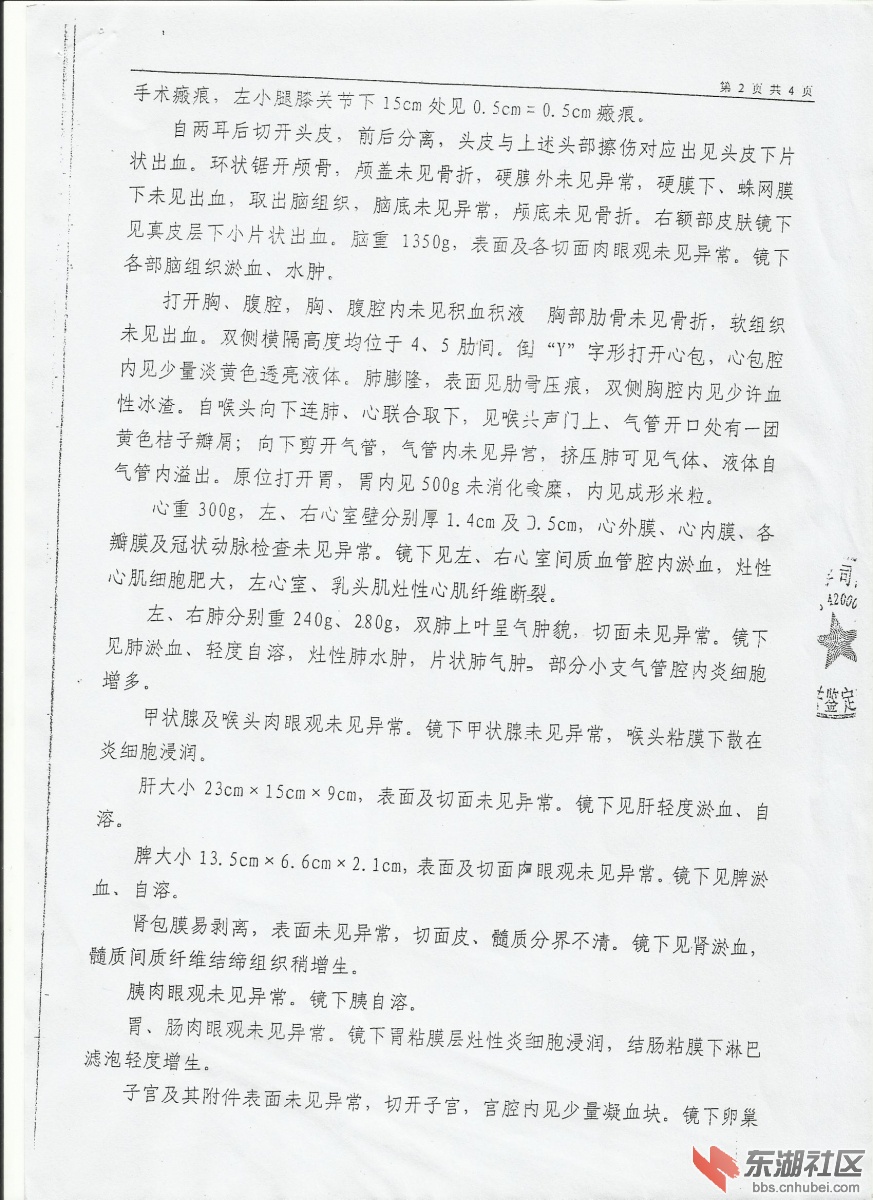 鉴定意见书3.jpg