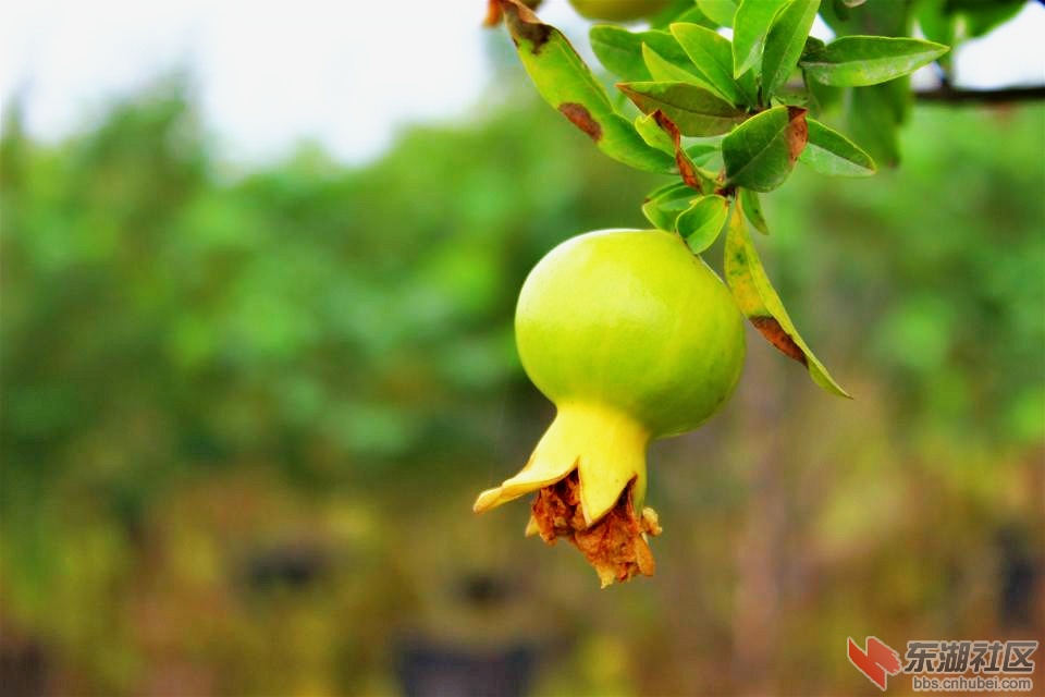 psb_meitu_10.jpg