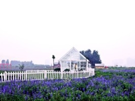 psb (1).jpg