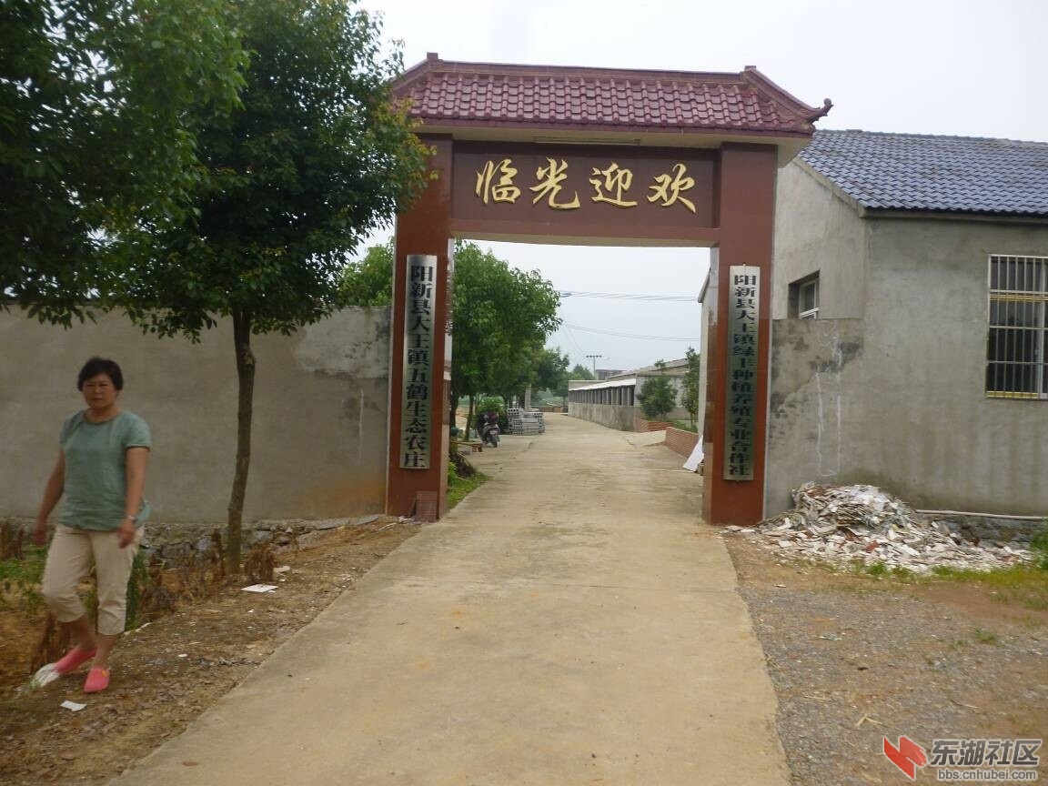 QQ图片20140630203846.jpg