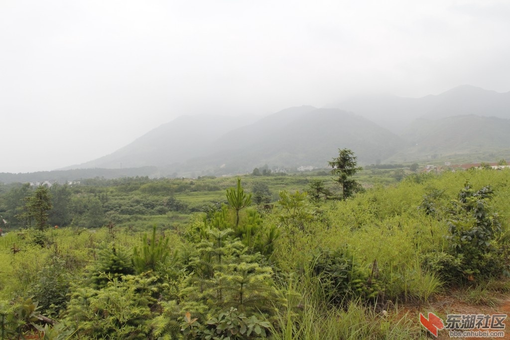 烟霞缭绕的大山