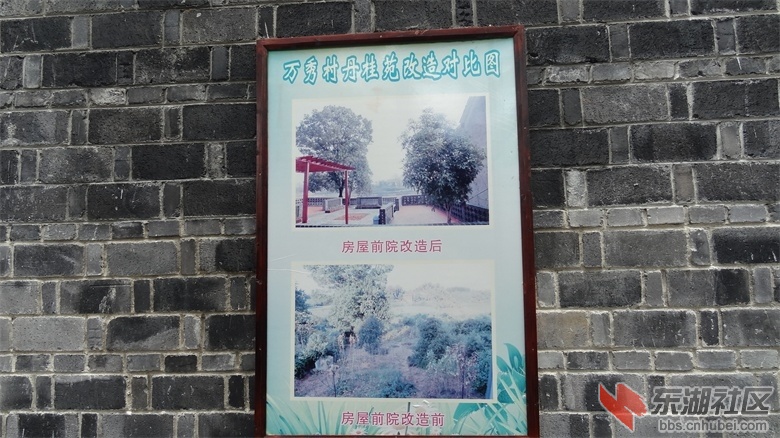 DSC02785 (1).jpg