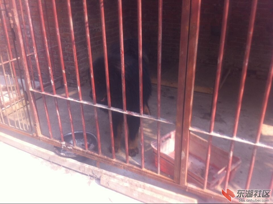 QQ图片20140702091844.jpg