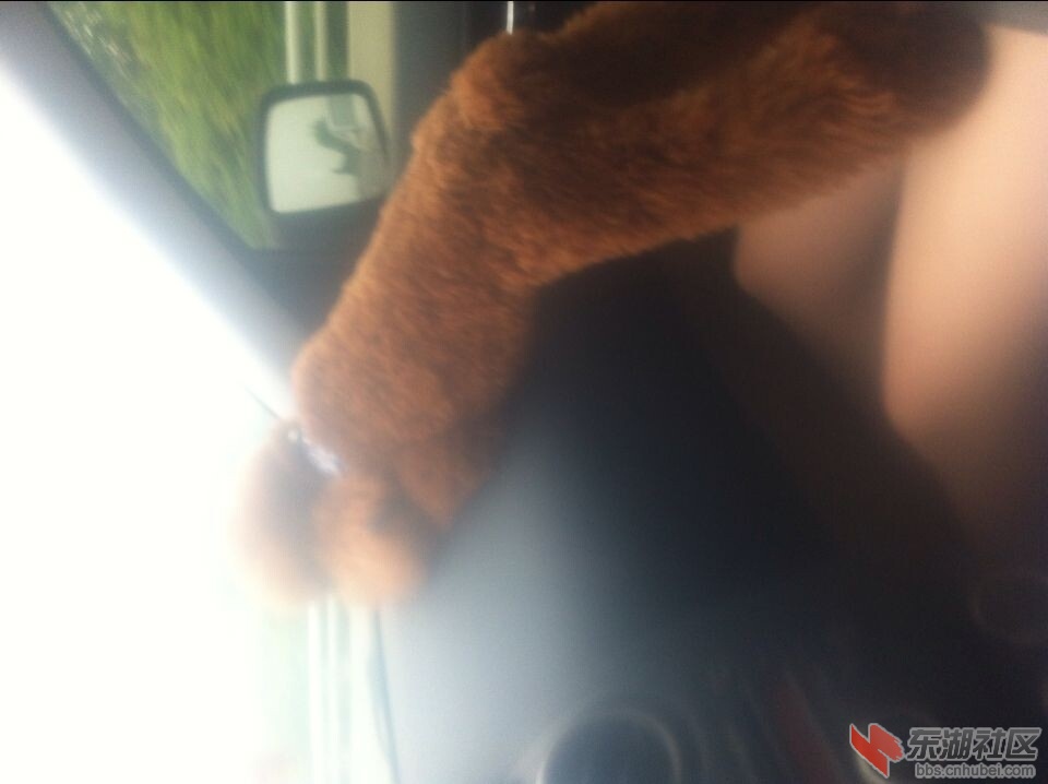 QQ图片20140702091900.jpg
