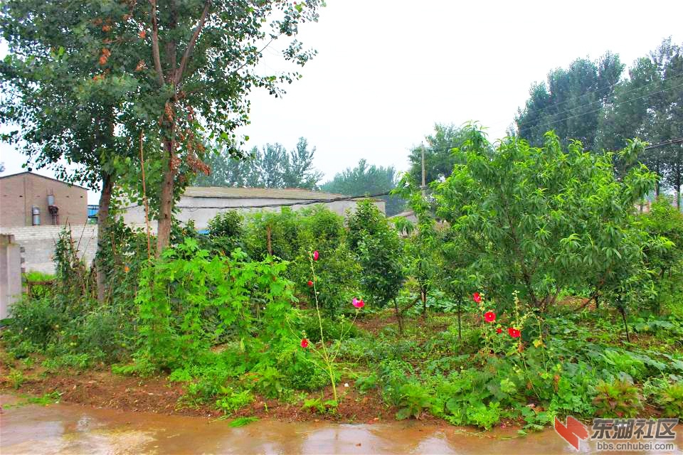psb_meitu_7.jpg