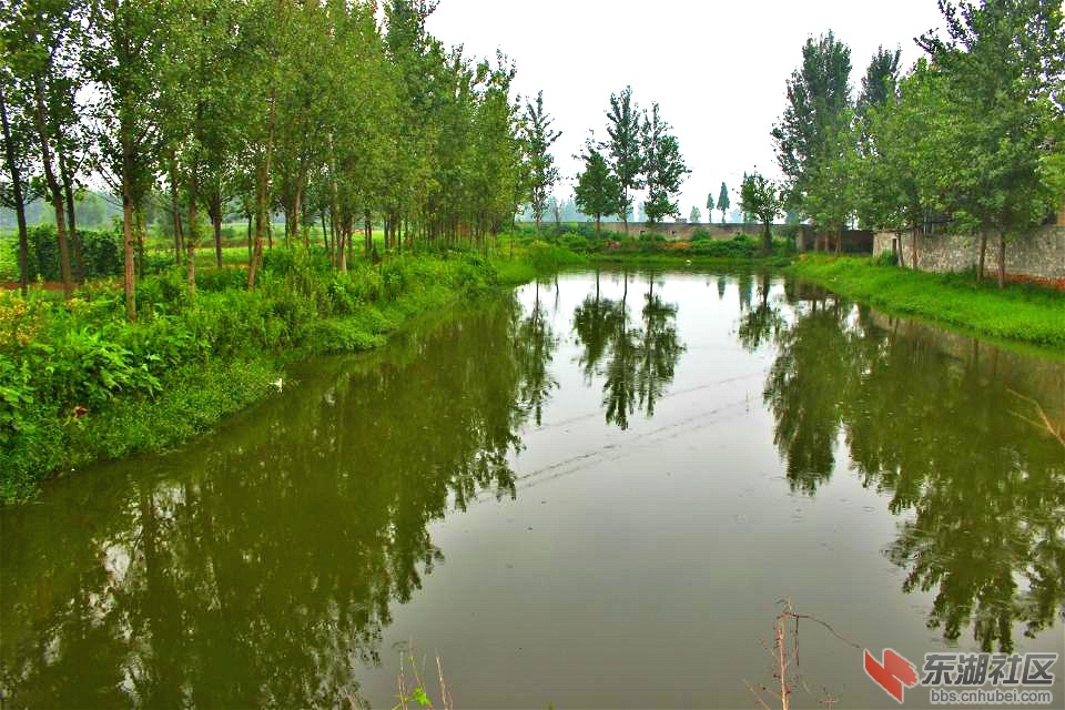 psb_meitu_2.jpg
