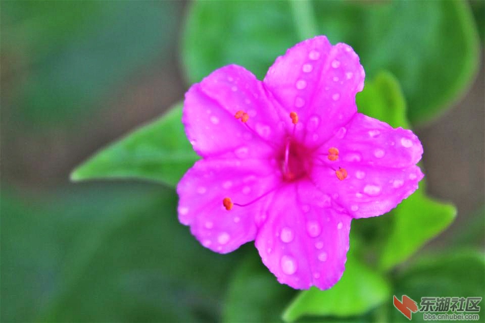 psb_meitu_5.jpg