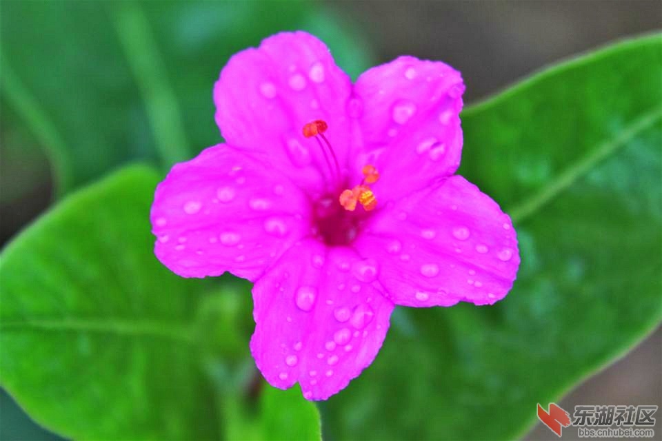 psb_meitu_6.jpg