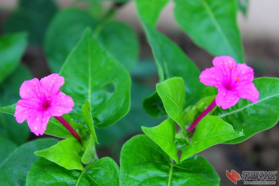 psb_meitu_3.jpg