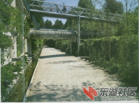 06.jpg