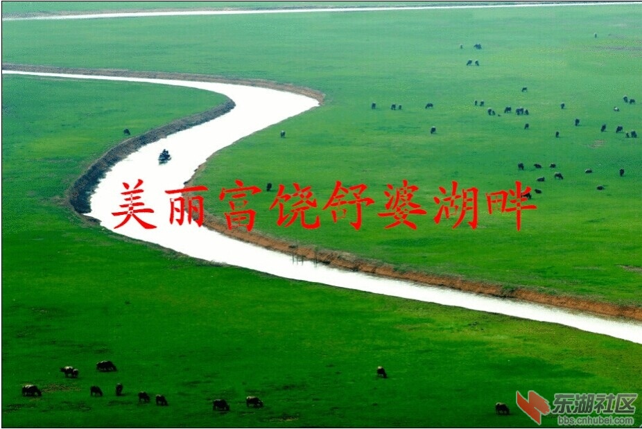 QQ图片20140703153259.jpg