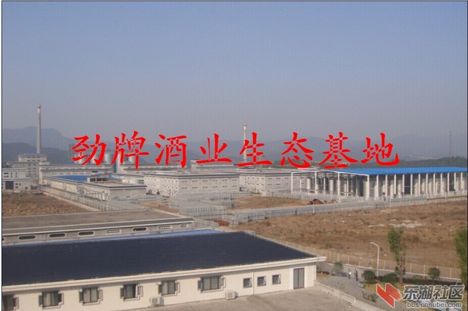 QQ图片20140703155159.jpg