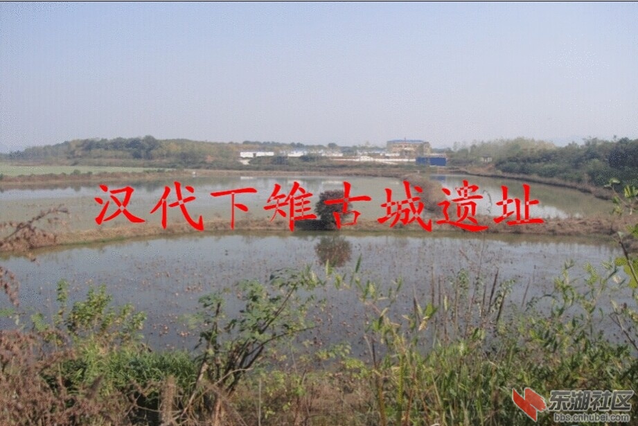 QQ图片20140703153324.jpg