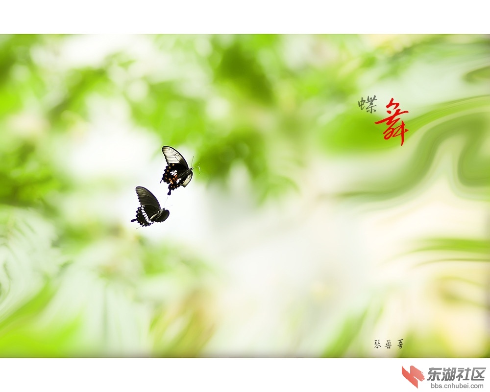 未标题-1_副本.jpg