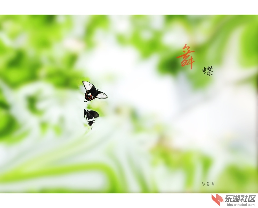 未标题-2_副本.jpg