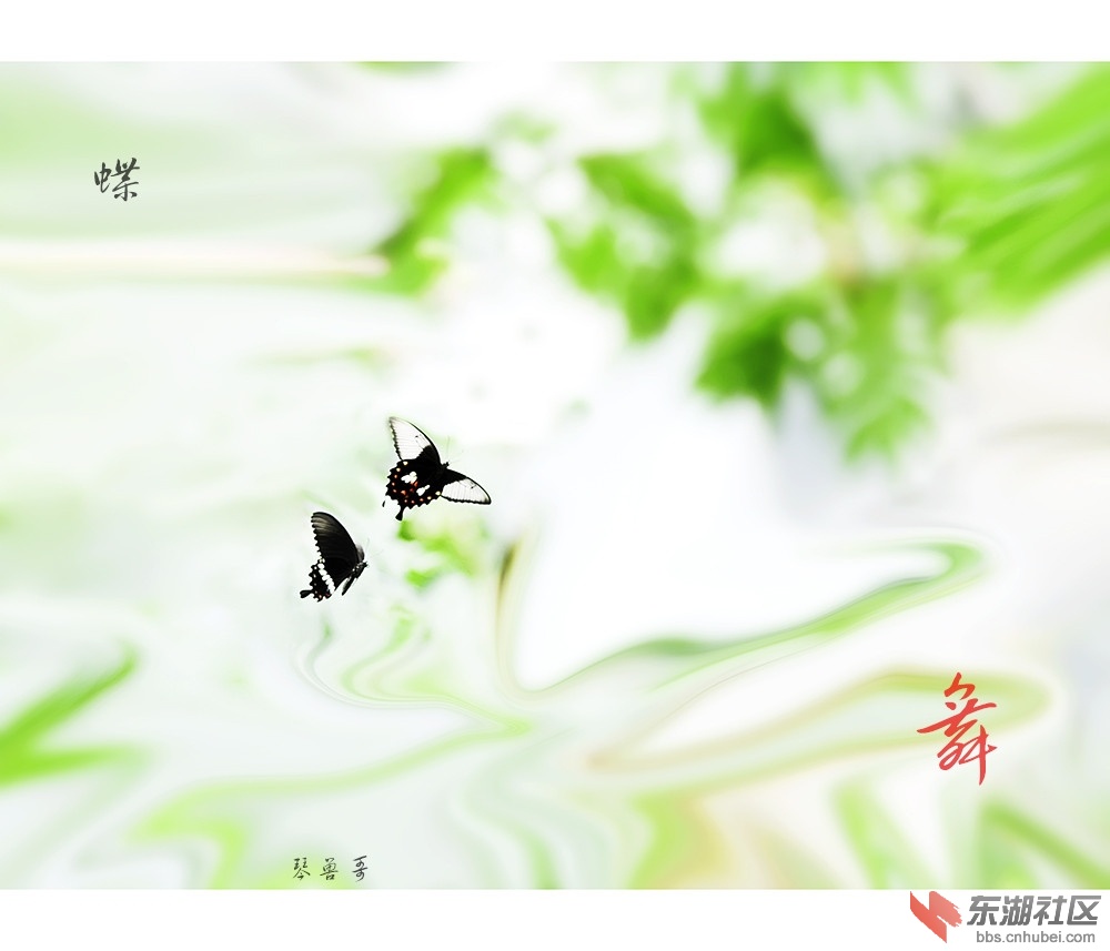 未标题-3_副本.jpg