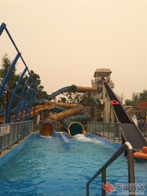 IMG_7508 (中).jpg