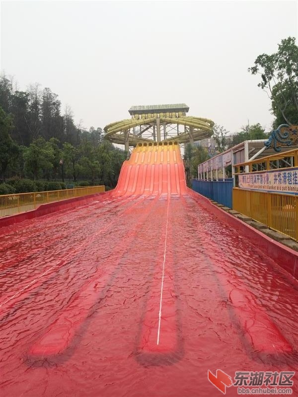 IMG_7515 (中).jpg