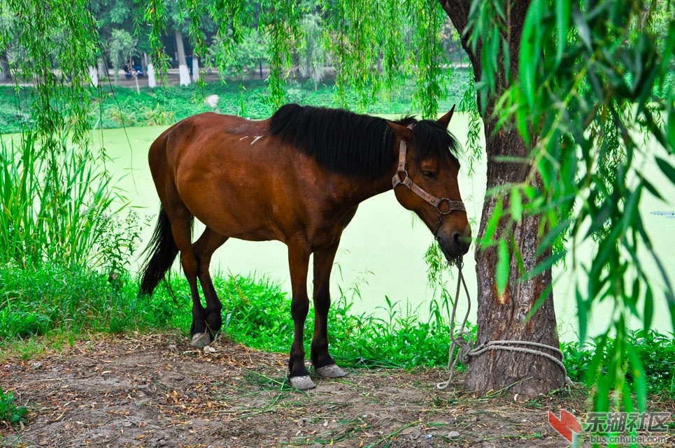 DSC_0064.jpg