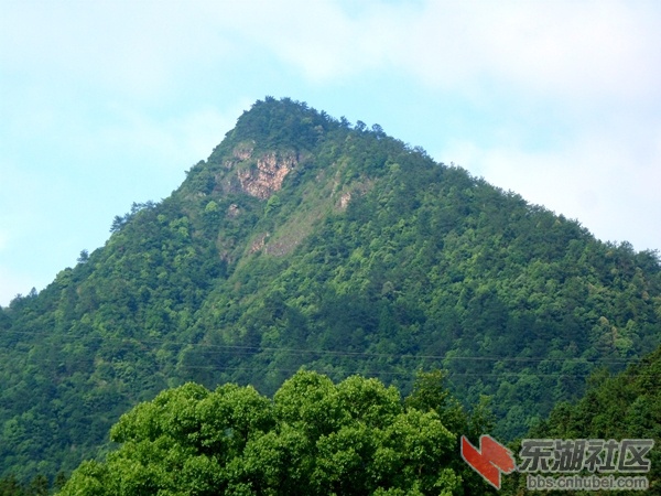 SAM_1775_副本.jpg