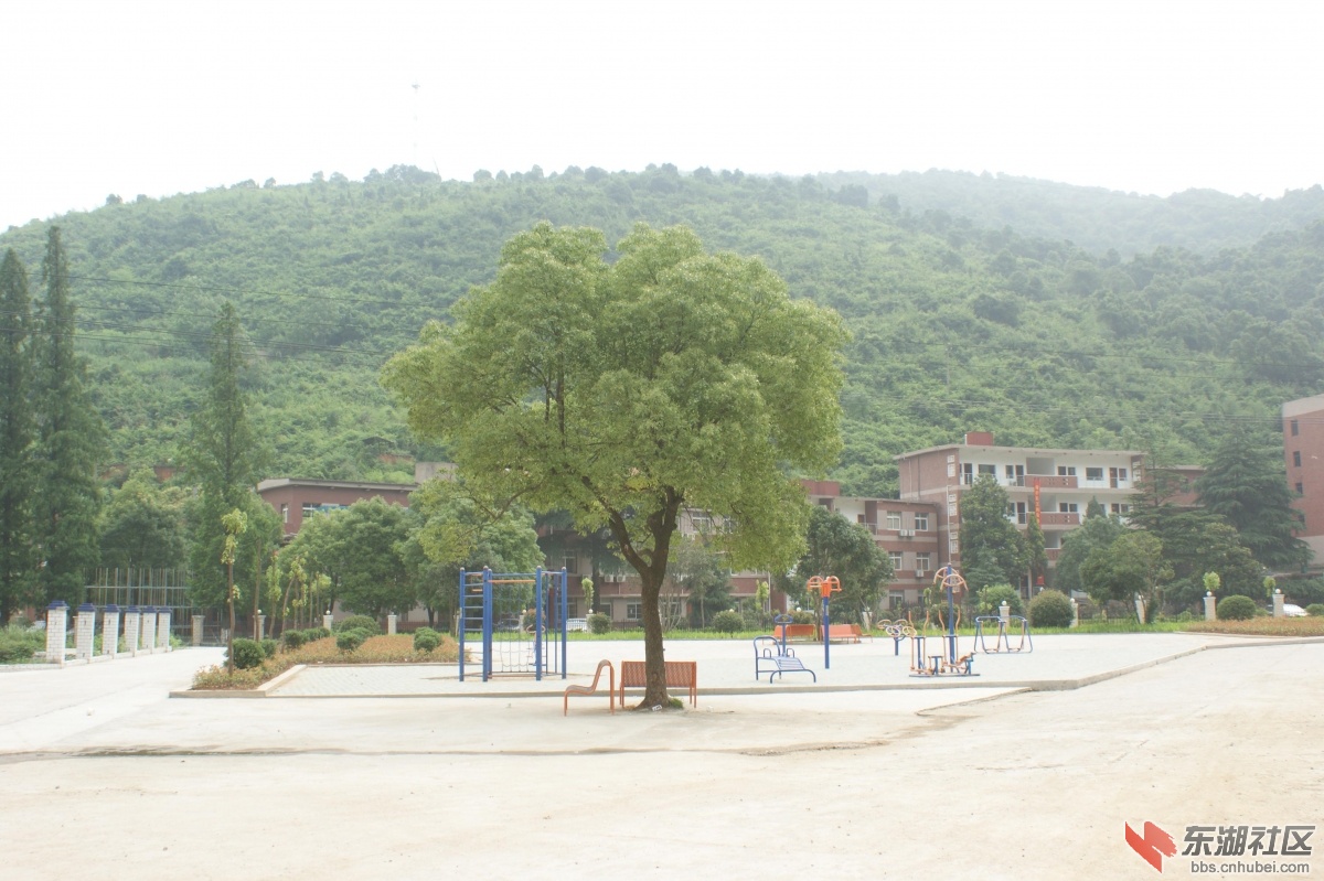 图片6.jpg