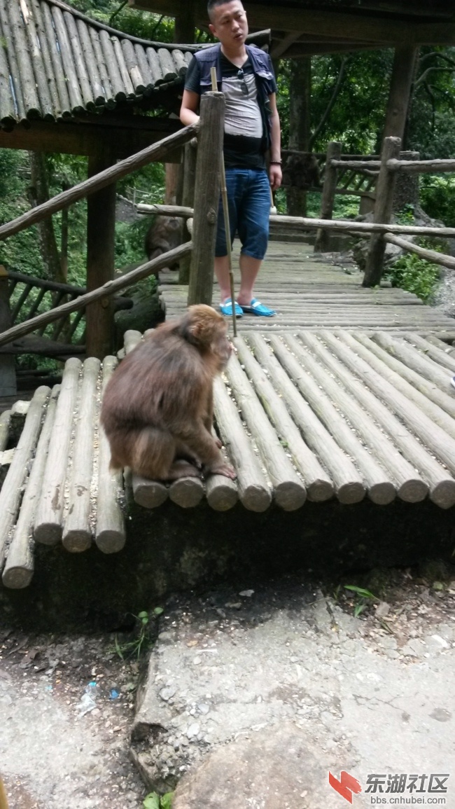 20140704_151749.jpg