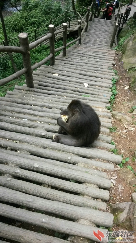 20140704_151413.jpg