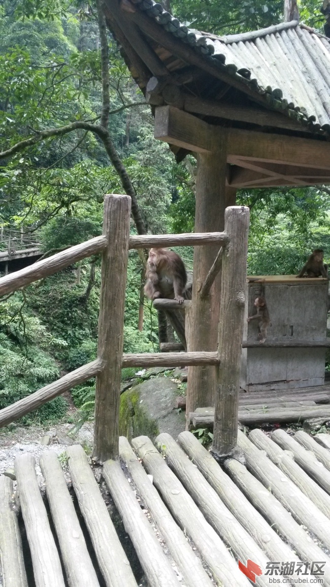 20140704_151859.jpg