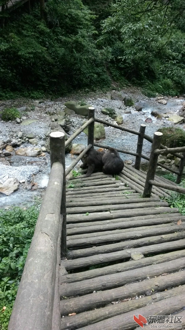 20140704_151956.jpg